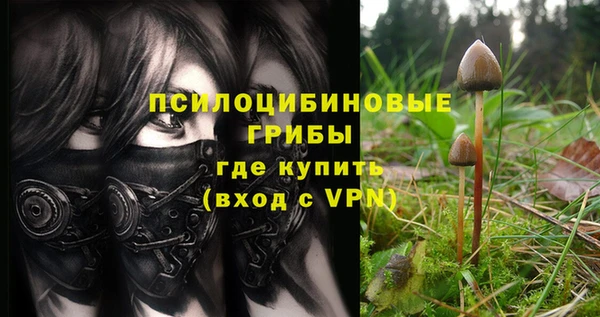 гашишное масло Инта