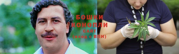 стаф Каменка