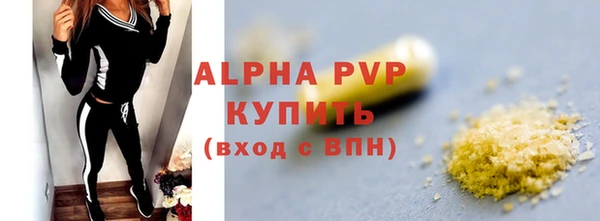 стаф Каменка