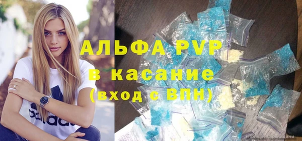 прущие грибы Инсар