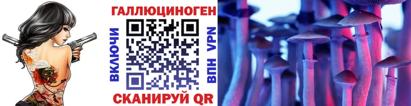 Псилоцибиновые грибы MAGIC MUSHROOMS  Иннополис 